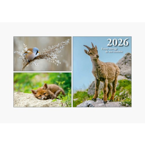 Calendrier Mural 2026